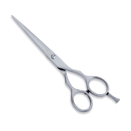 Economy Hair Scissors